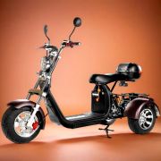 Электроскутер Gbike Pro Trike 3000  NEW Электроскутер Gbike Pro Trike 3000  NEW