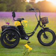 Трехколесный электровелосипед Fat Trike T NEW с передней корзиной Трехколесный электровелосипед Fat Trike T NEW с передней корзиной