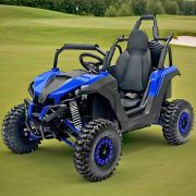 Электроквадроцикл SFmoto F15 VIP 1200 Электроквадроцикл SFmoto F15 VIP 1200